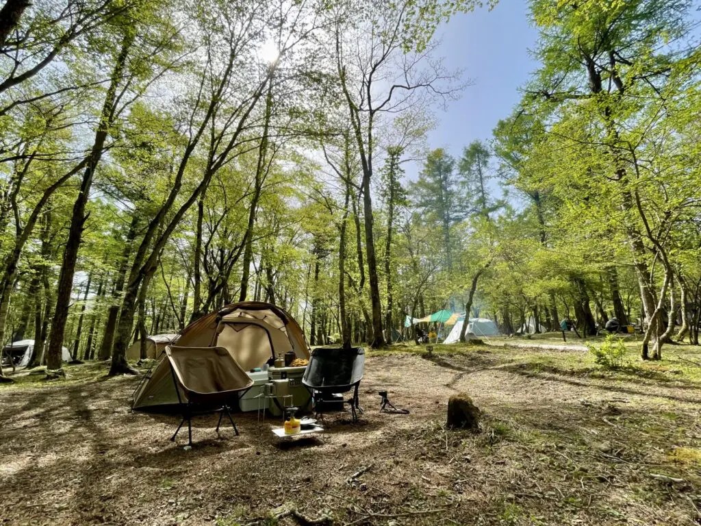 【村営山中湖キャンプ場】行ってきました！体験レポート ぶちぶろぐ