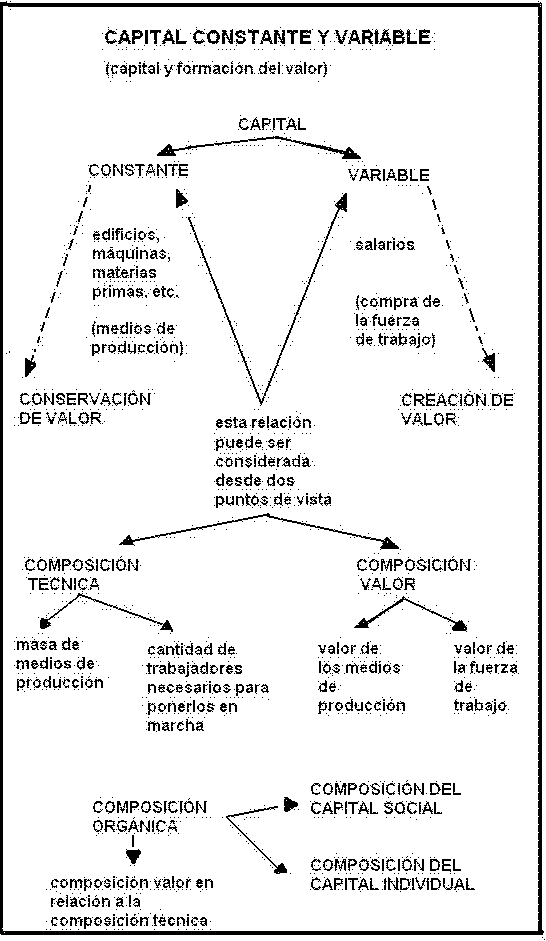 capital constante y variable