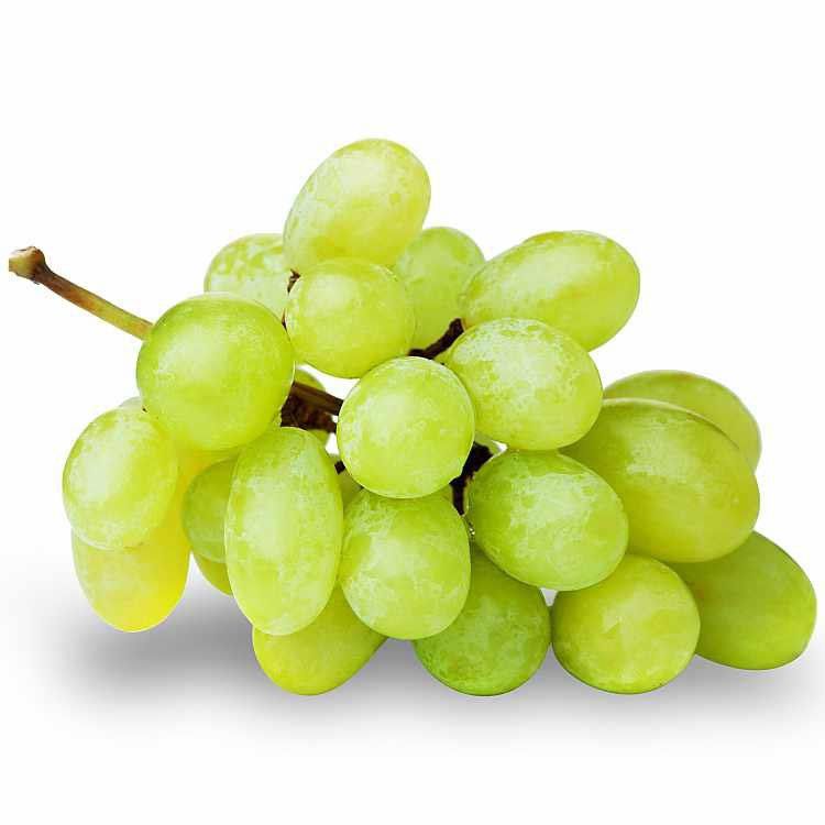 Thompson Seedless Grape K.M Trade International