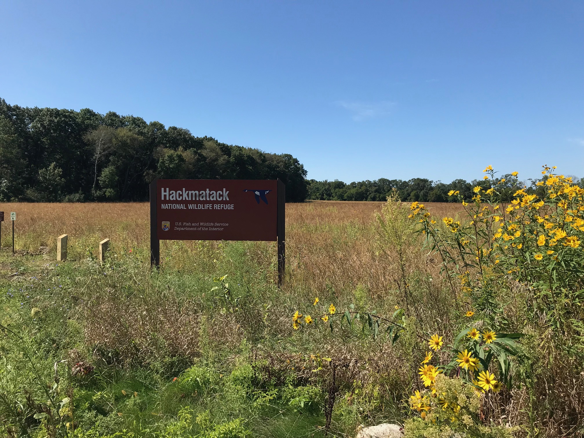 Annual Seed Harvest Kettle Moraine Land Trust