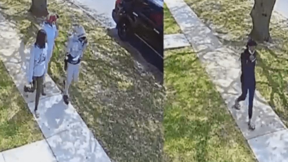 Woman's arm severed in deadly New Orleans carjacking; 4 teens arrested