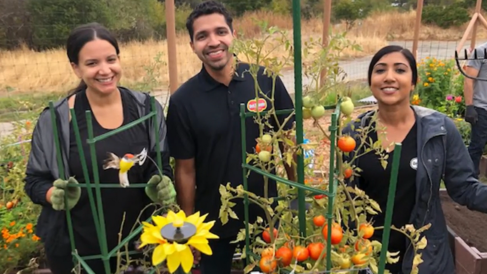 Del Monte needs to hire 200400 people in the Valley KMPH