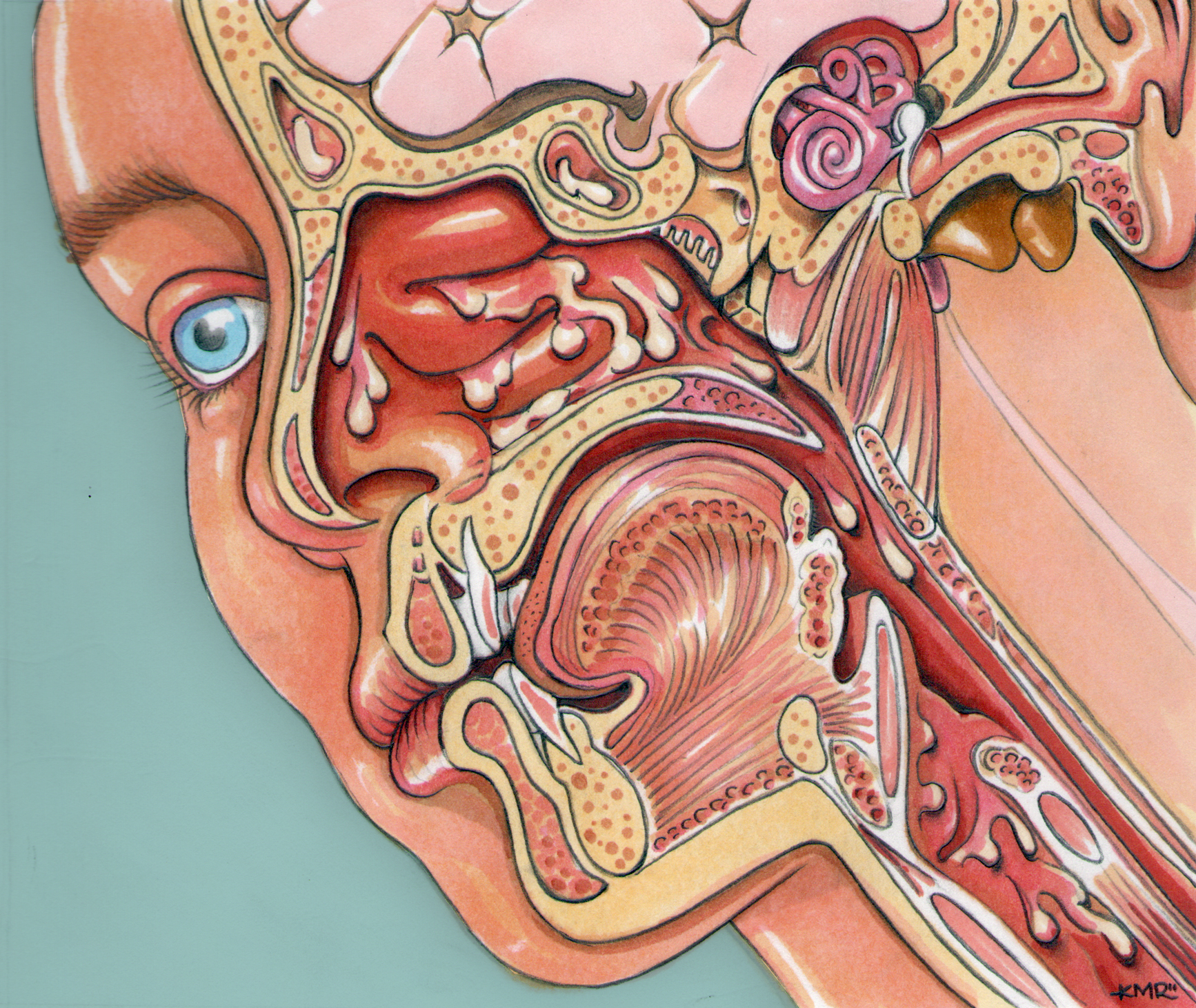Ear, nose, and throat The Art of Kevin M. Rucker