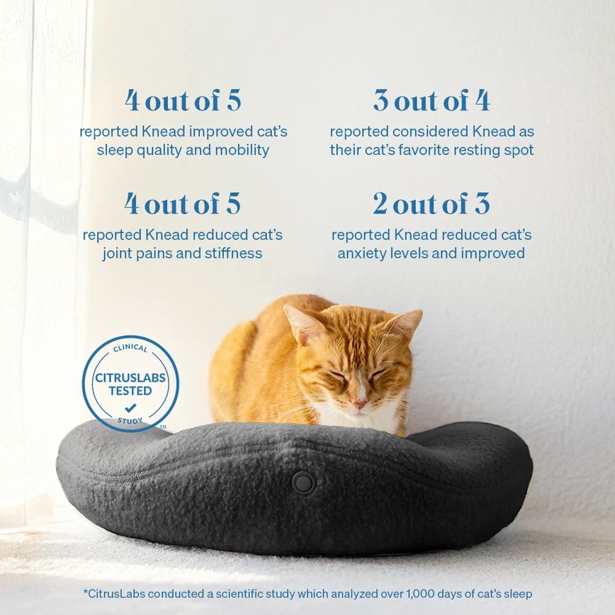 Therapeutic Heated Cat Bed by Knead Cats Orthopedic &amp; NanoHeated