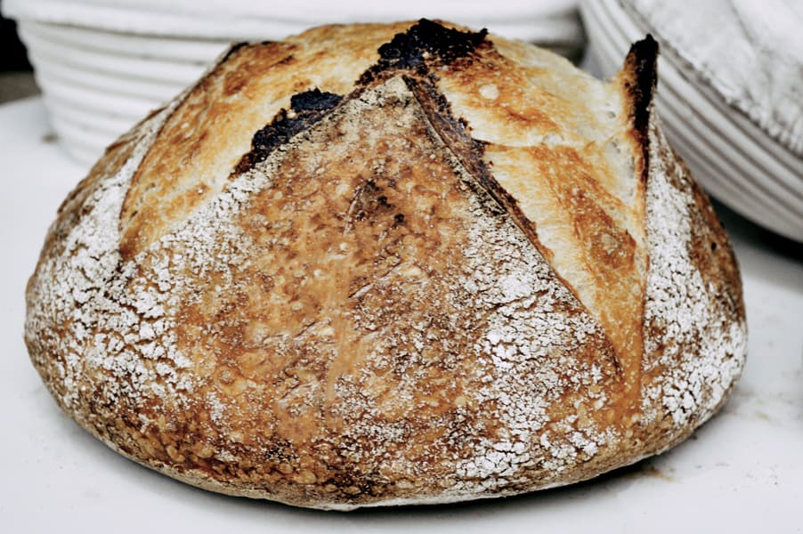 Do You Have To Proof Sourdough In the Fridge? Knead Rise