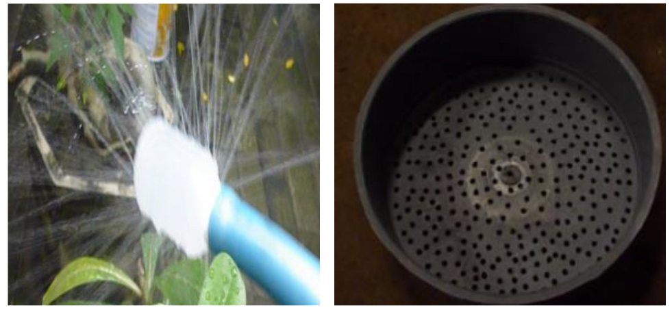 Water Scrubbing for Removal of CO2 (Carbon Dioxide) and H2S (Hydrogen