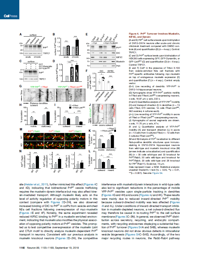 Institute for Molecular Kneussel