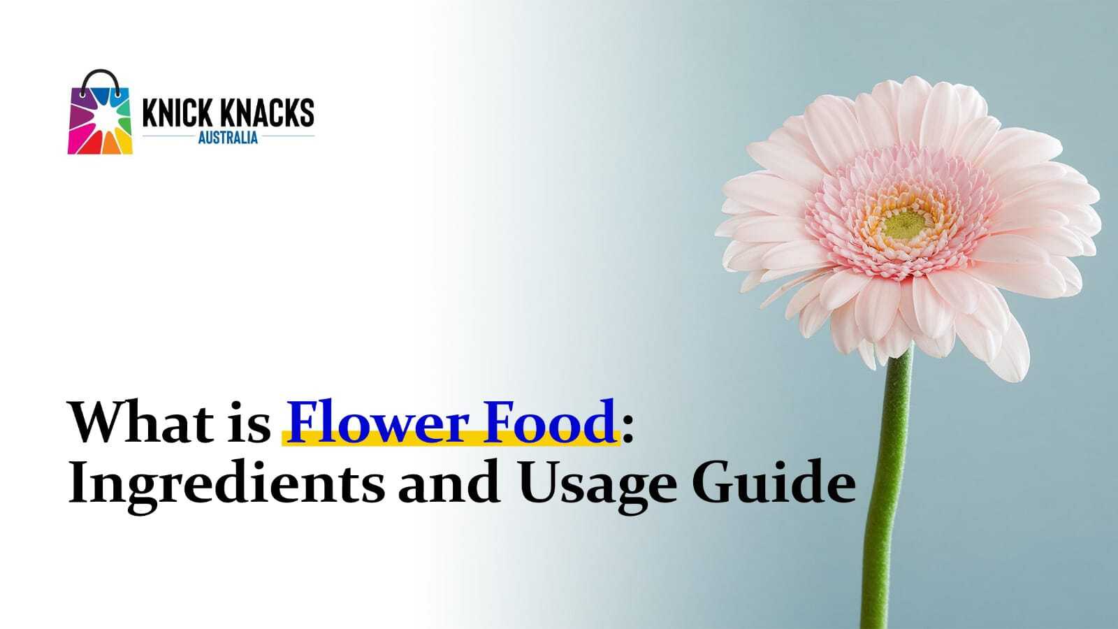 What is Flower Food And How to Use Flower Food Knick Nacks