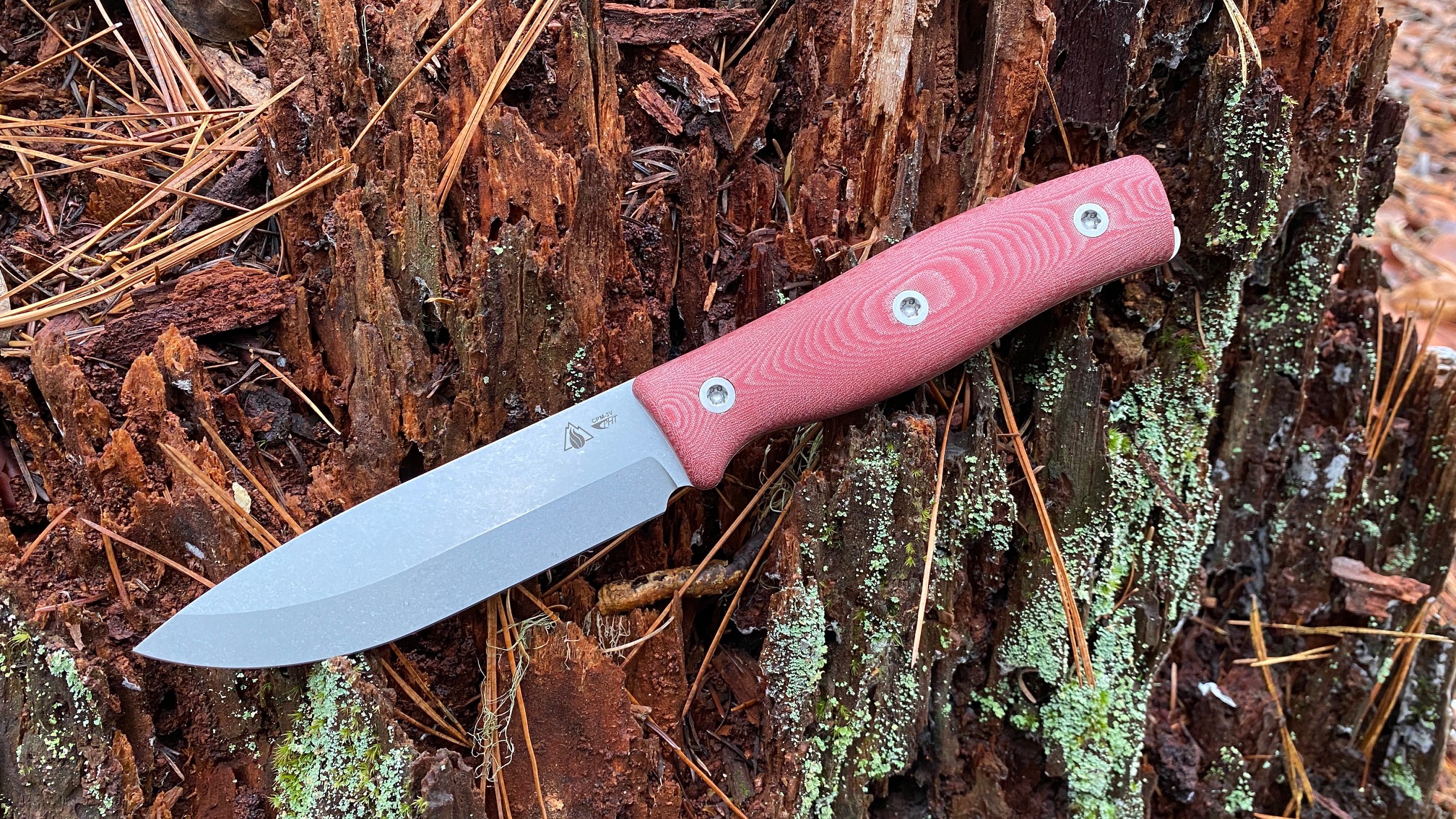 Survive Knives Talks About Troubled Past and Looks Toward a Bright Future