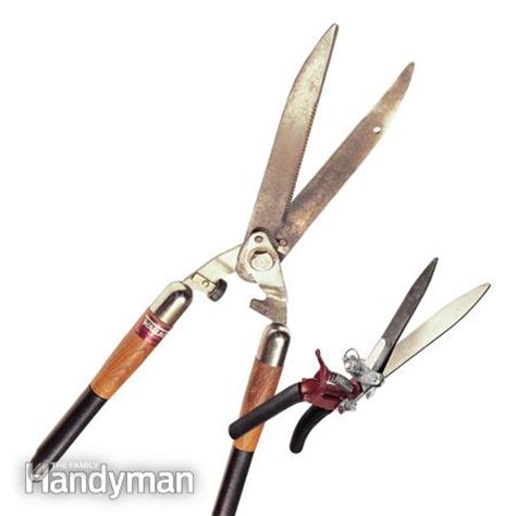 Hedge Trimmers – KnifeSharpeningPlus