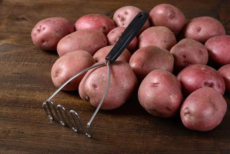The 10 Best Hand Potato Mashers of 2022 KnifeVerge
