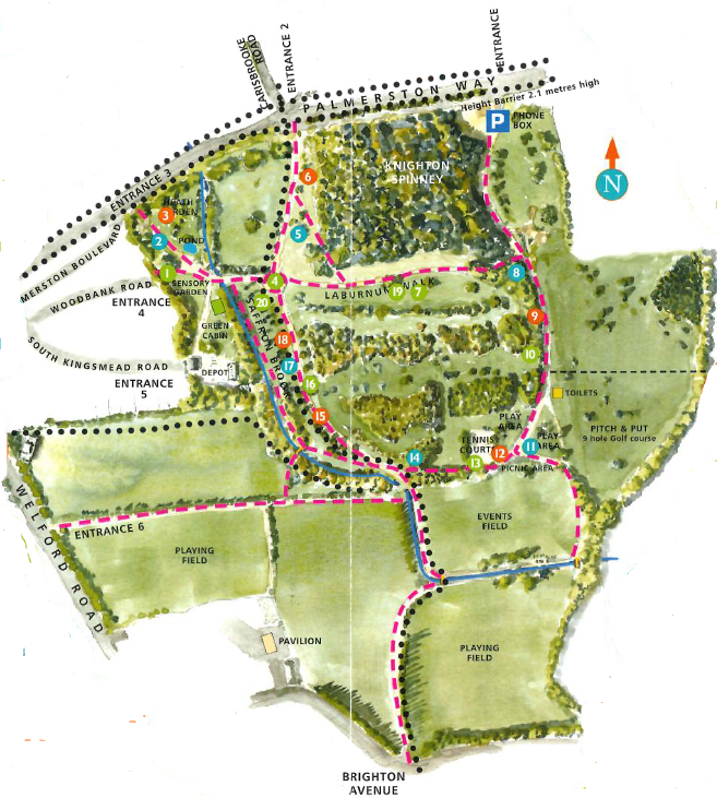 Knighton Park Tree Trail Map Knighton Wild