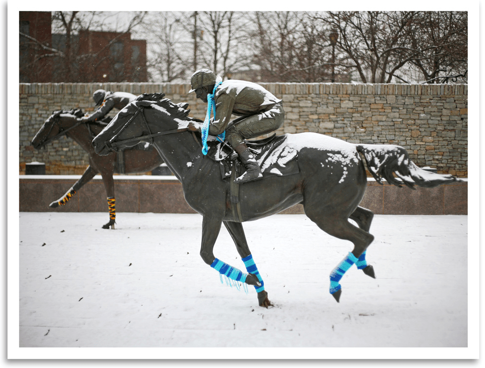 Yarn Bombed Horses at Thoroughbred Park in Lexington, KY KnitHacker
