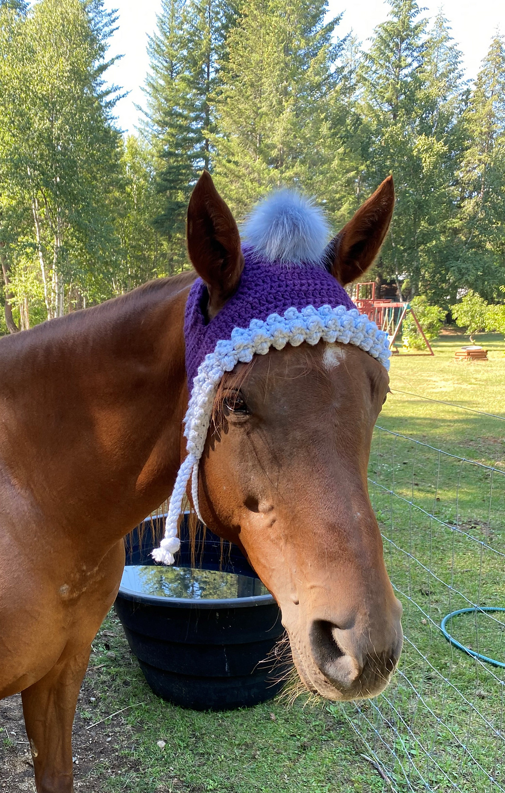 Own a Horse? Here Are Two Patterns For You To Crochet A Hat & Ear