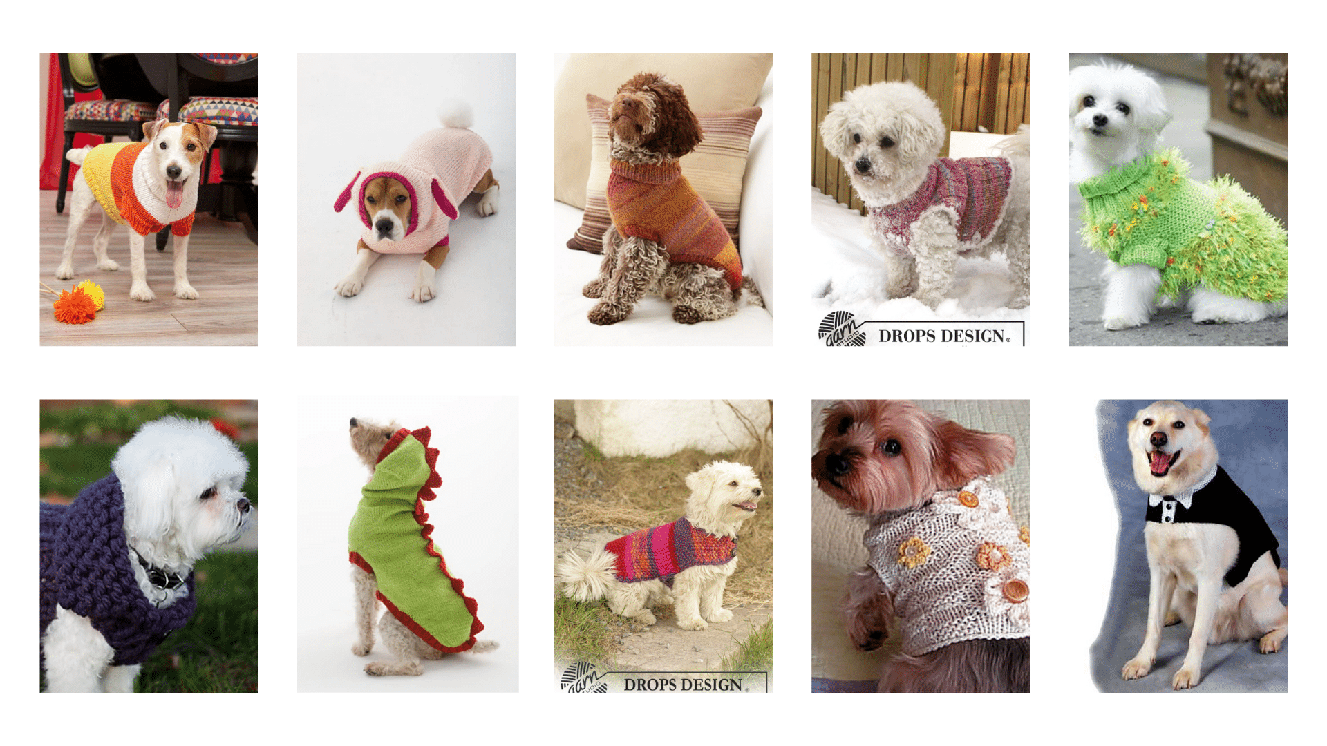 10 Free Dog Sweater Knitting Patterns for Beginners!