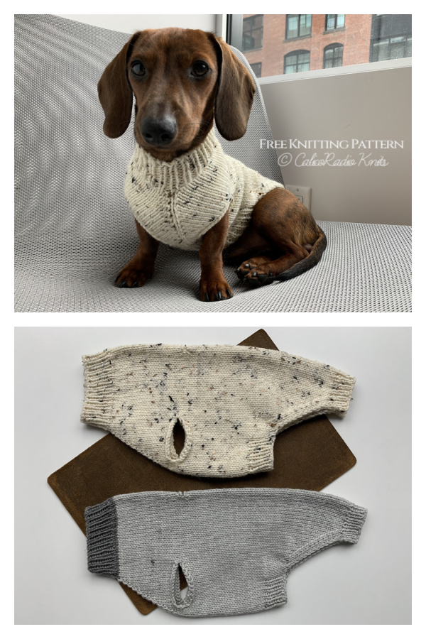 Seamless Dog Sweater Free Knitting Pattern Knitting Pattern