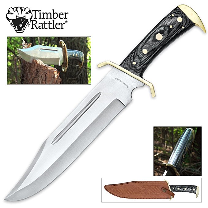Best Bowie Knife Guide Top 10 Picks [2024]