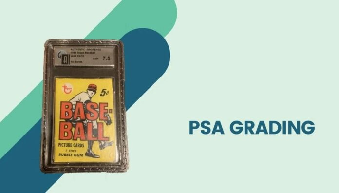 Baseball Card Rookie and why do get them Graded with PSA Grading