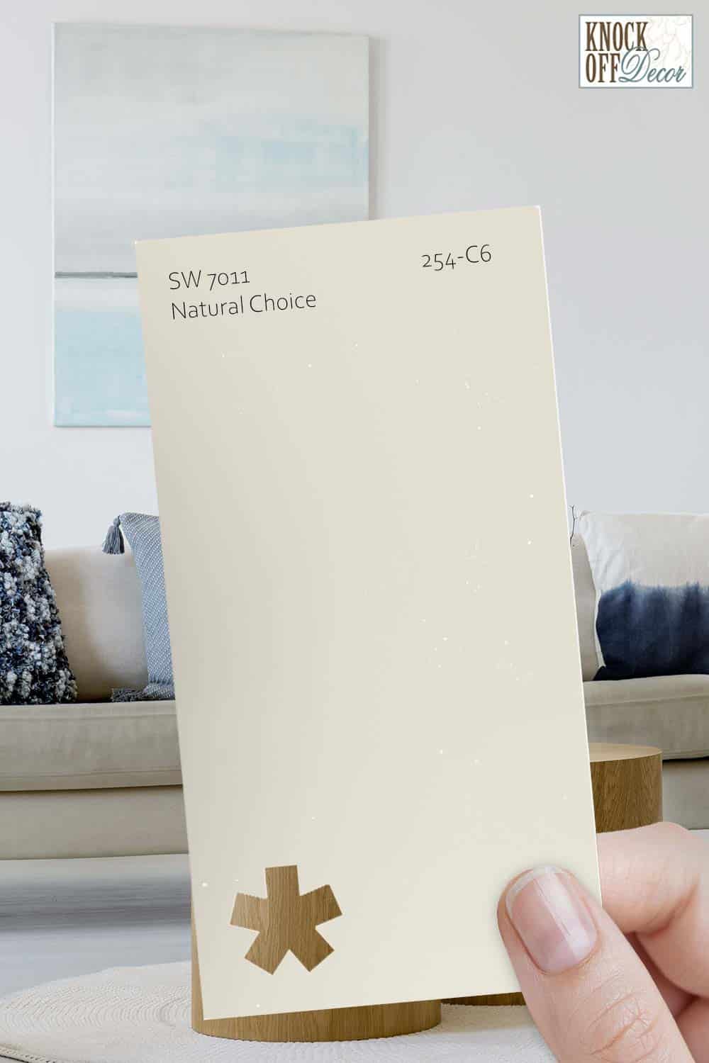 Sherwin Williams Natural Choice Review Is it the Coziest Neutral