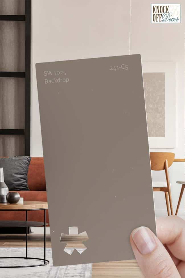 Best Sherwin Williams Brown Most Popular + My Favorites (2022)