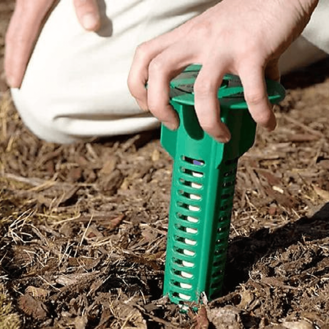 Sentricon Termite Treatment New York Knockout Pest Control