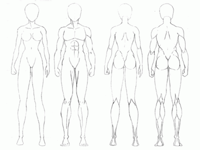 Artwork By Willy Pogany Female Muscles Drawing Lessons 1946