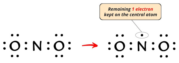 Lewis Structure of NO2 (With 5 Simple Steps to Draw!)