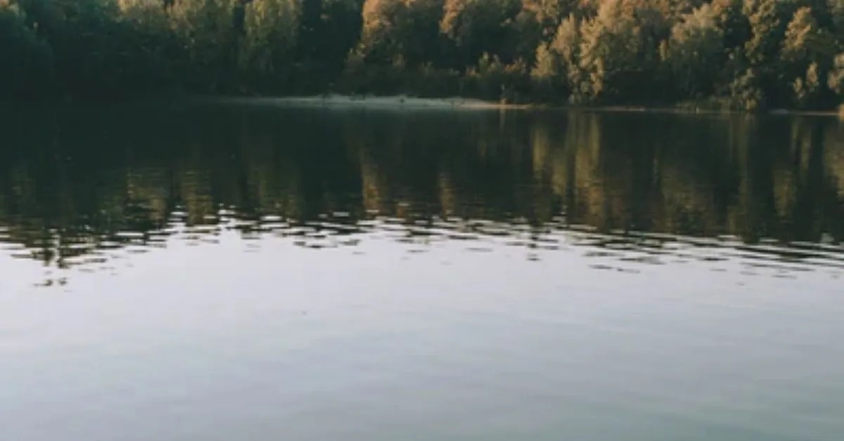 Lake Allatoona Blockhouse and Other Great Fishing Locations KnottedHook