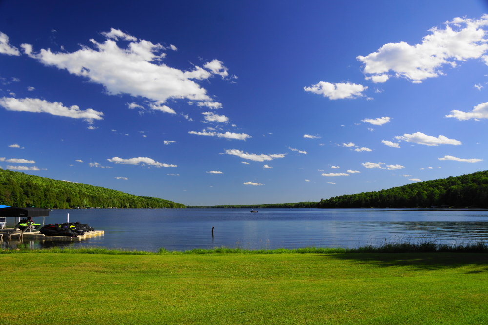 Return of the Normal