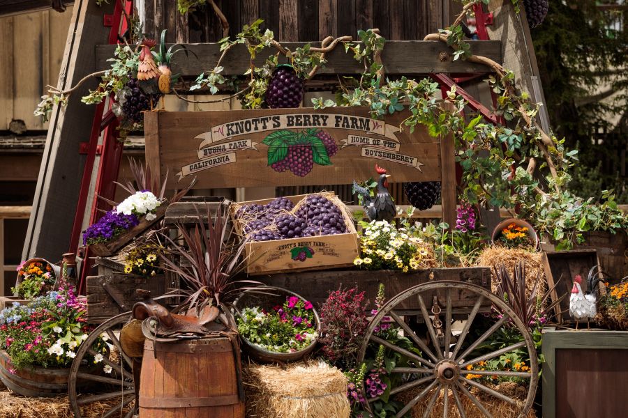 50th Anniversary of Scary Farm Highlights Knott's 2023 Schedule