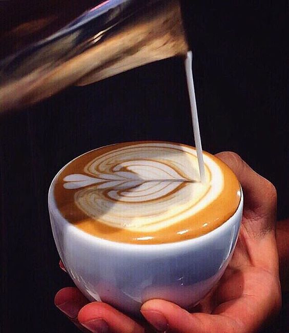 Know. Barista