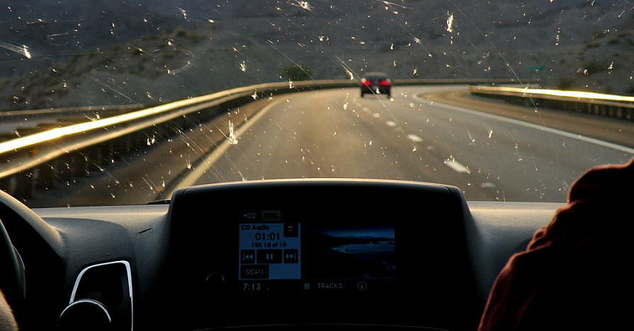 Bug Off How to Clean Bugs Off Your CarNAPA Know How Blog