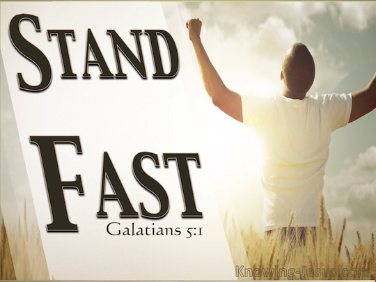 Galatians 51 It was for freedom that Christ set us free; therefore