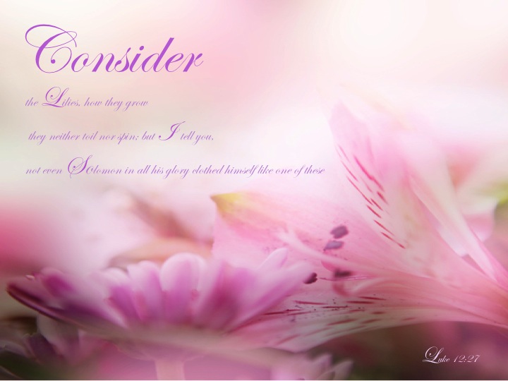 Luke 1227 "Consider the lilies, how they grow they neither toil nor