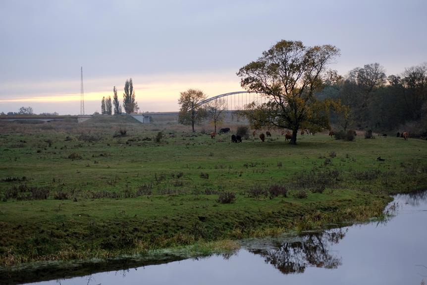 Is Leather Ethically Sourced From Cows Knowing Fabric