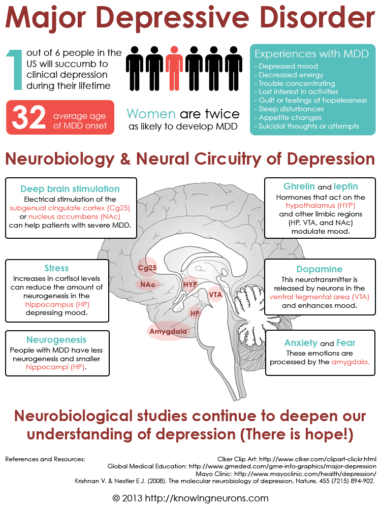 Depression Infographic by Knowing Neurons Knowing Neurons