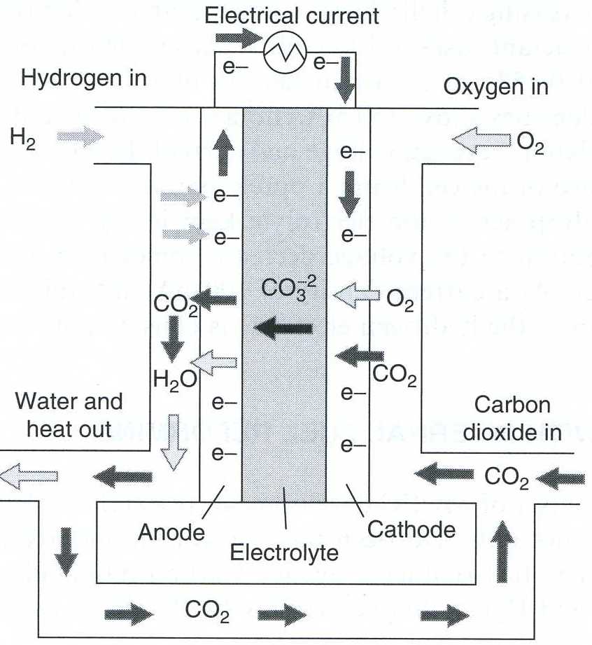 Electrochemistry Encyclopedia Fuel cells
