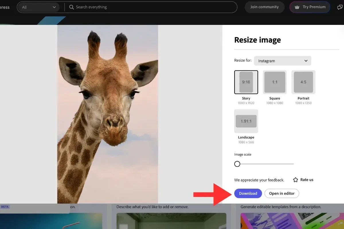 How to Resize an Image without Losing Quality
