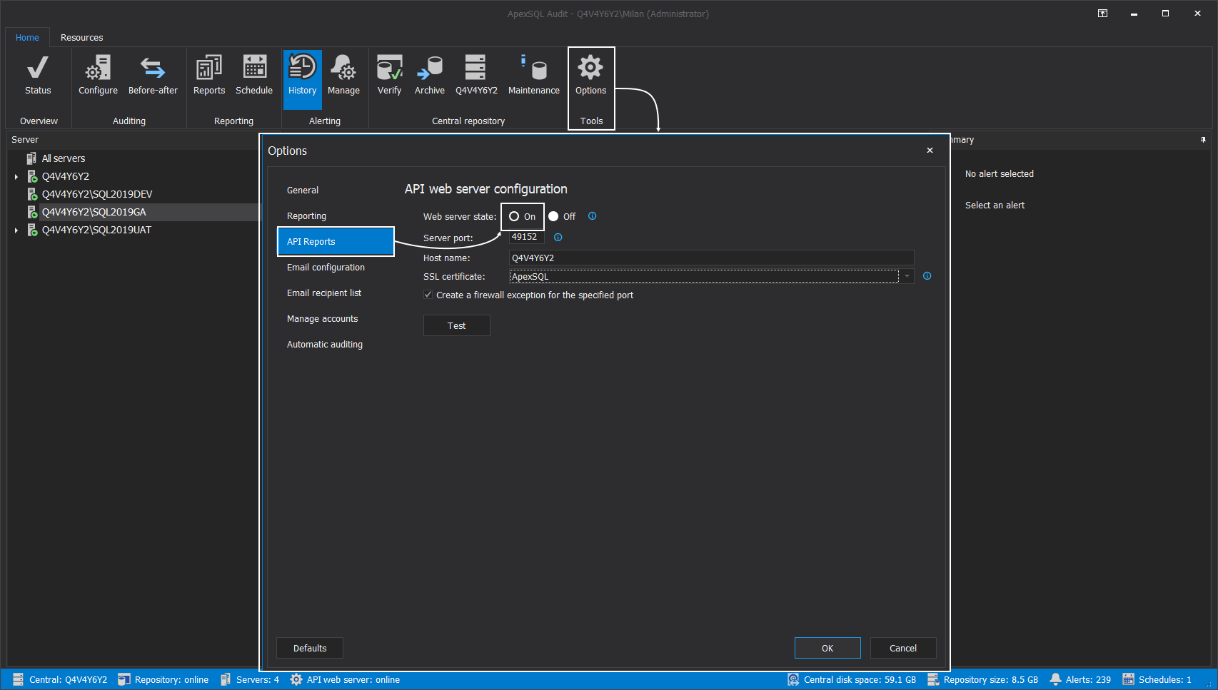 Using API to generate SQL auditing reports