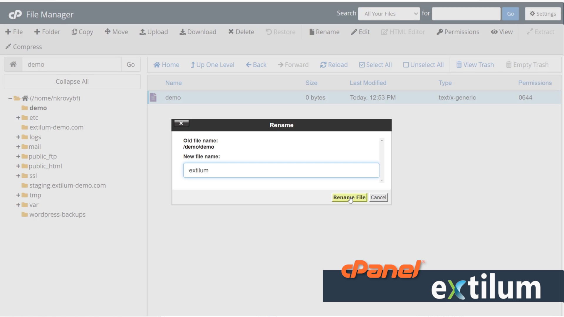 Rename a file or folder in File Manager cPanel • Extilum Knowledgebase