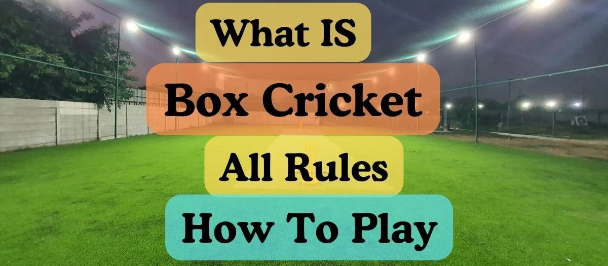 Box Cricket Rules and Regulations A Comprehensive Guide
