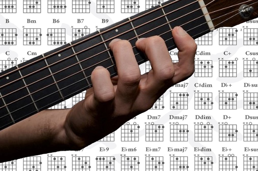 TM7 Chord finder Knowledge Guitars