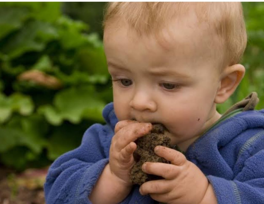 Know The Reasons Behind Children Eating Soil Knowledge Minster
