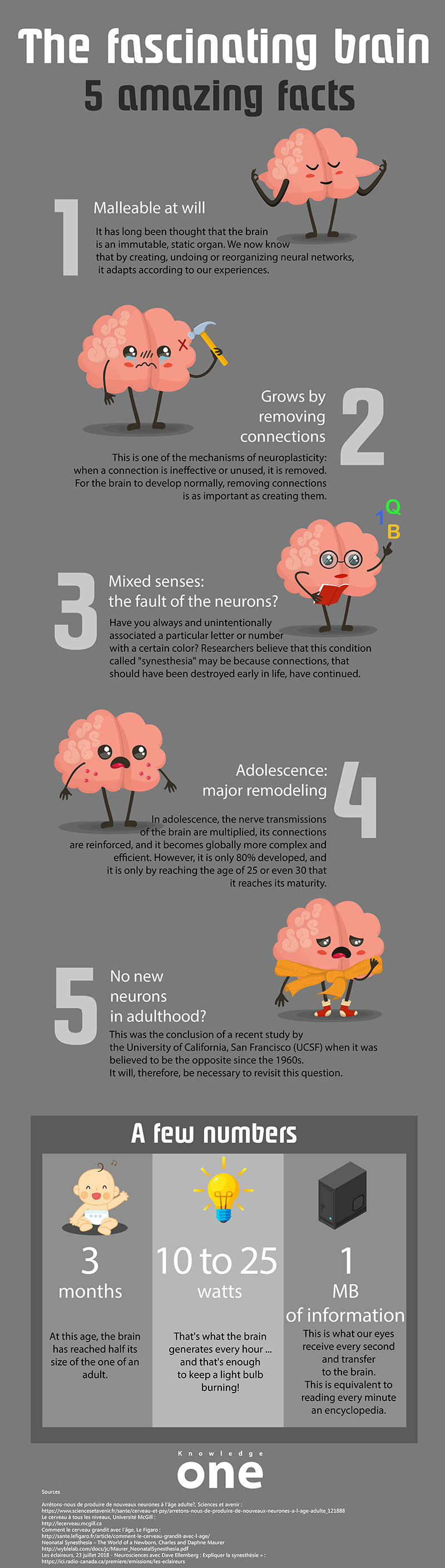 [INFOGRAPHIC] The fascinating brain 5 amazing facts KnowledgeOne