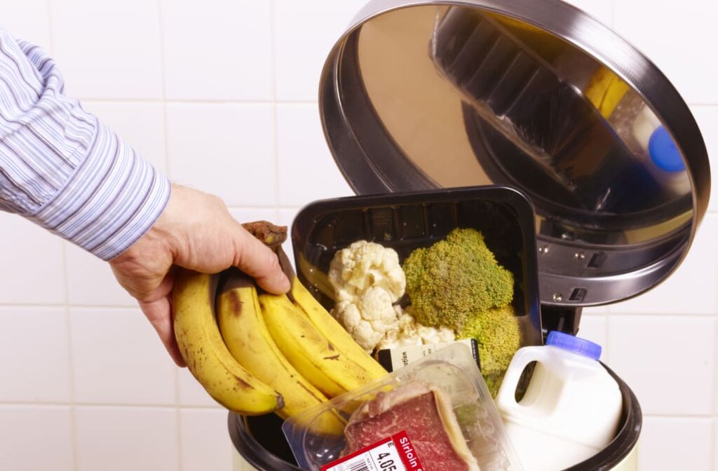 5 Things You Should Never Put Down a Garbage Disposal Knowledge Out