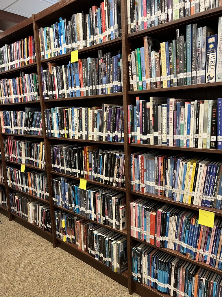 Library Shelves to Attract the Modern Teen