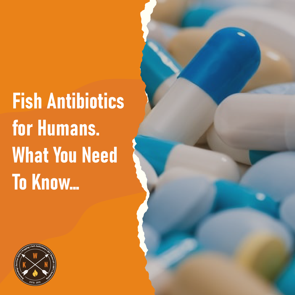 Fish Antibiotics For Humans. What You Need To Know...