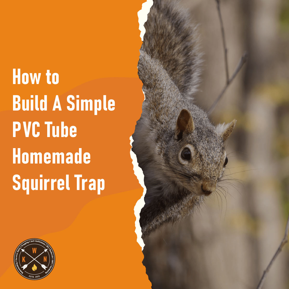 How To Build A Simple PVC Tube Homemade Squirrel Trap