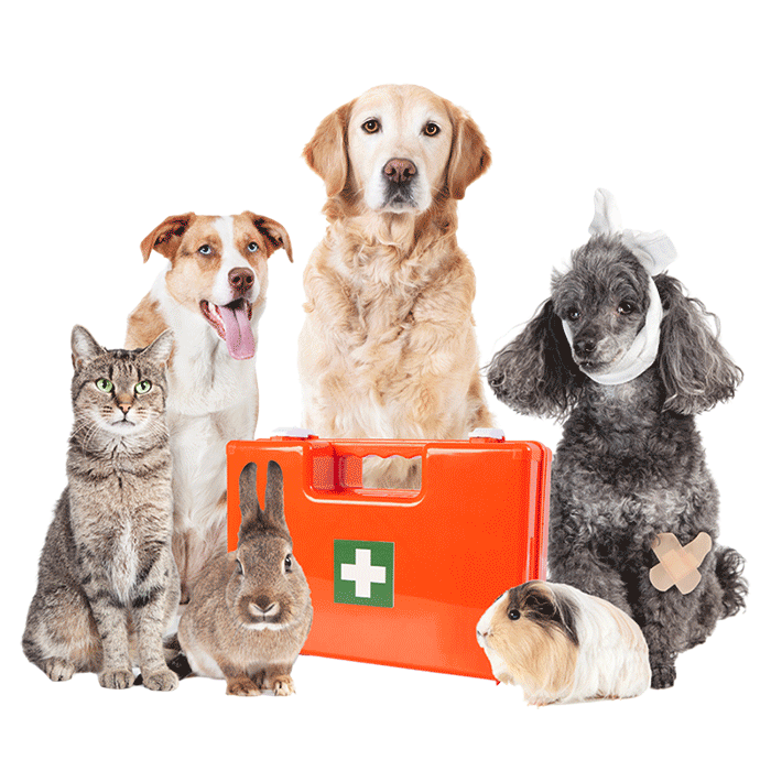 Kensington Pharmacy Maryland Store] KnowlesWellness