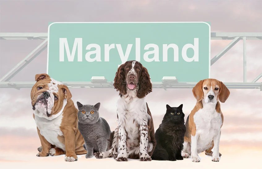 Maryland Veterinary Compound Laws Recent Updates KnowlesWellness